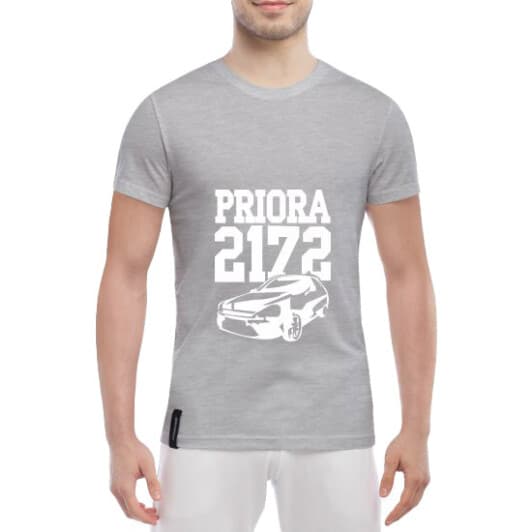 Футболка чоловіча Globuspioner класична Priora 2172 сіра принт спереду