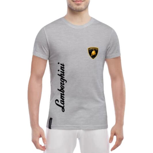 Футболка чоловіча Globuspioner класична Lamborghini Logo Vertical сіра принт спереду