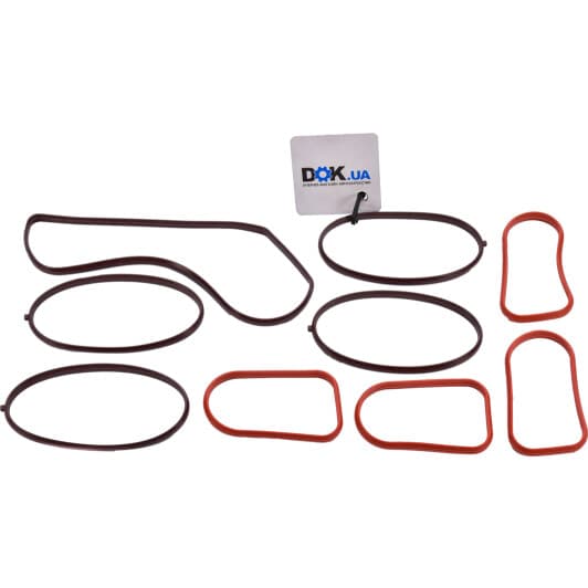 111000201 Reinz Комплект прокладок впускного колектора