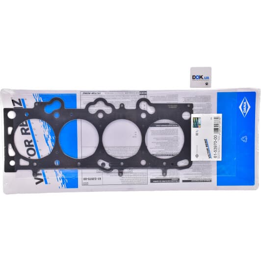 61-53970-00 Reinz Прокладка ГБЦ
