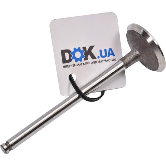 R6113/S Freccia Впускной клапан