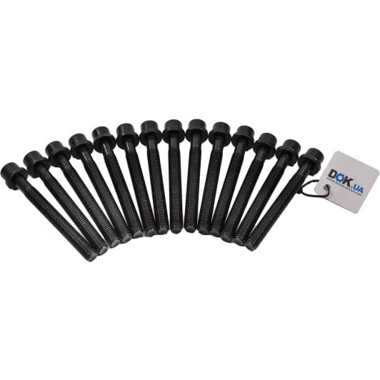 14-32047-03 Reinz Болт ГБЦ