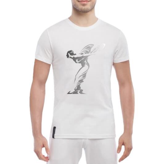 Футболка мужская Globuspioner классическая Rolls-Royce Nike белый спереди