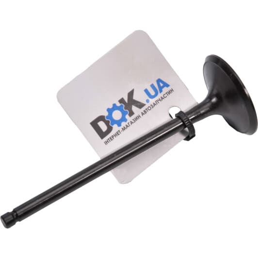 V98032 AE Впускний клапан