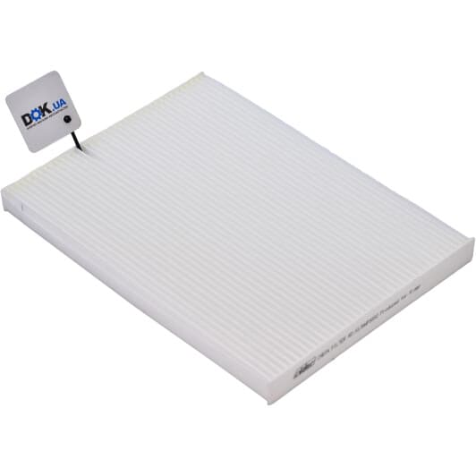 RD61J6WP9350 Rider Фільтр салону