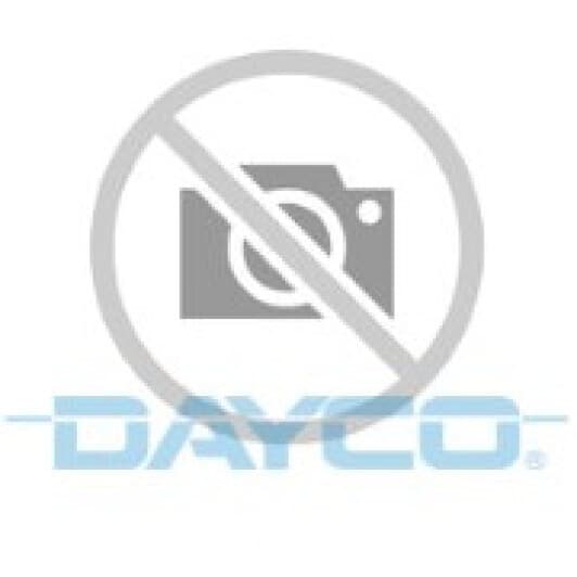 DP251 Dayco Помпа