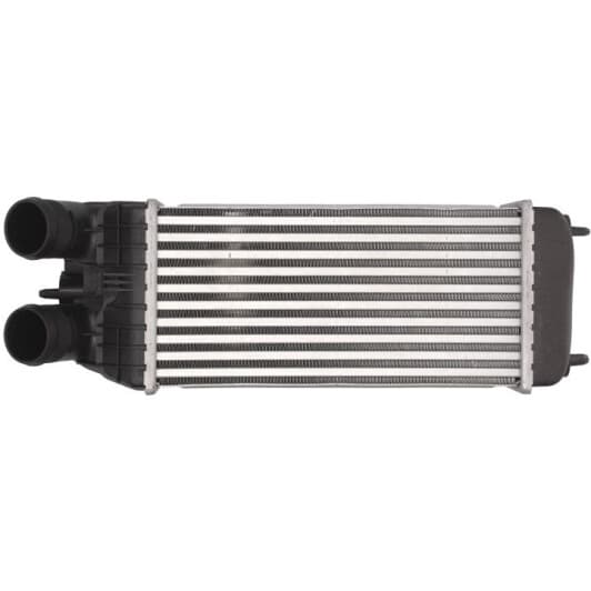 DAP003TT Thermotec Интеркулер