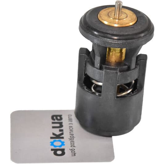 100 616 Topran Термостат