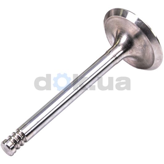 R4641/SCR Freccia Впускной клапан