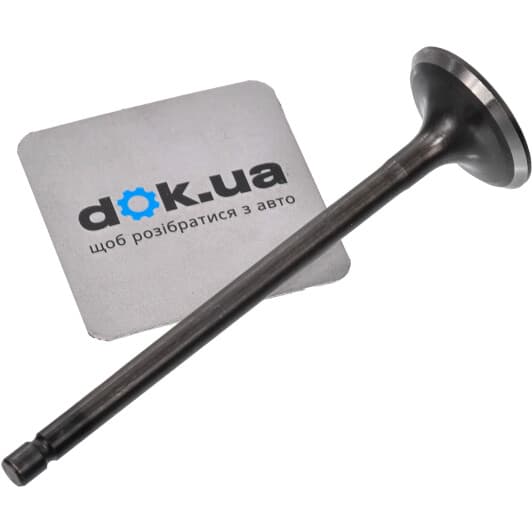 R6538/SNT Freccia Впускной клапан