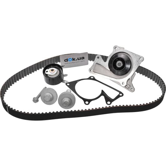 530019732 INA Комплект ремня ГРМ + помпа