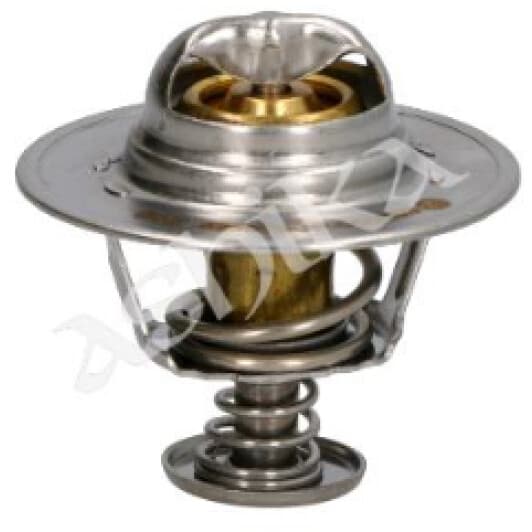 38-0W-W16 Ashika Термостат