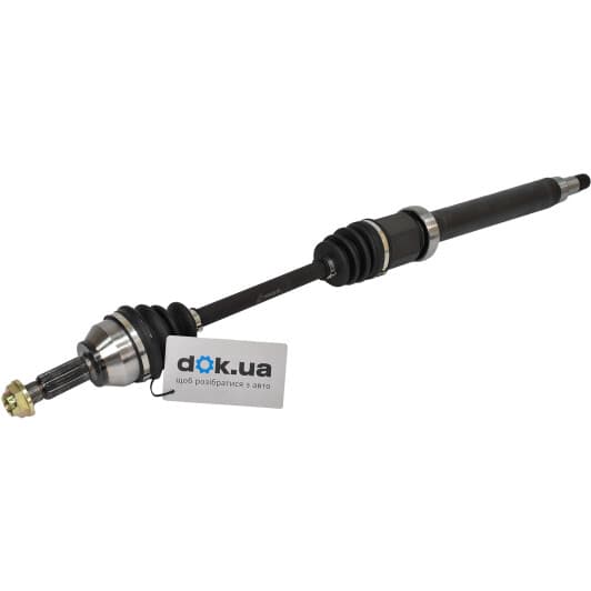 DS2304R BGA Піввісь