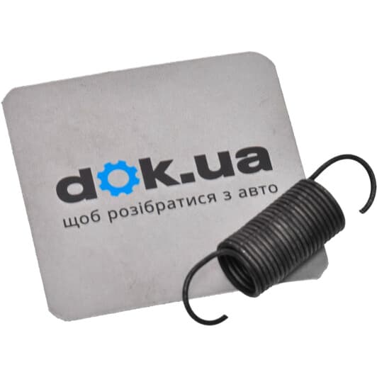 171609715 VAG Пружина гальмівного супорта