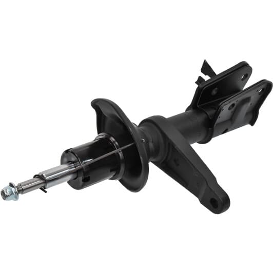 rs310021 RAISO Стійка амортизатора для Land Rover Freelander