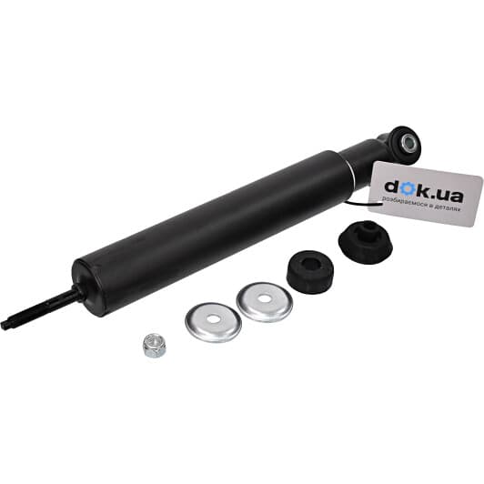 rs317428 RAISO Амортизатор