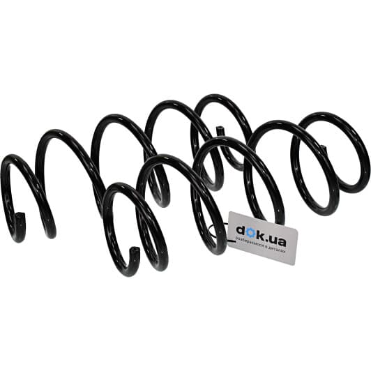 sf171tp RAISO Пружина підвіски для Ford Fiesta