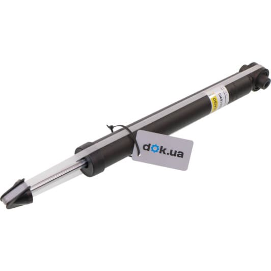 rs318202 RAISO Амортизатор