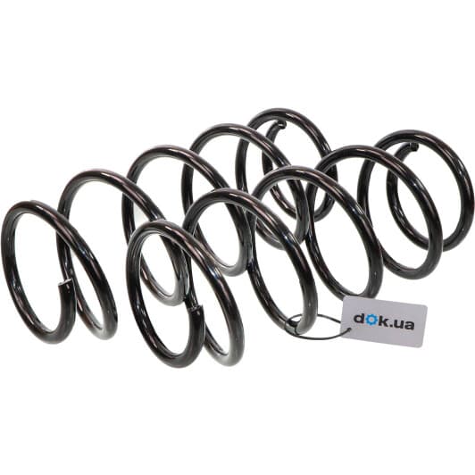 sf030tp RAISO Пружина подвески для Audi 100