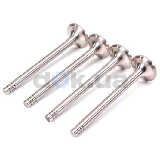 R4809/R Freccia Выпускной клапан