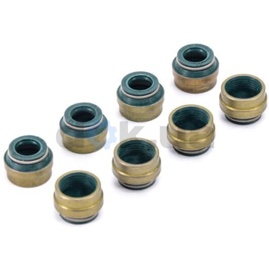 12-25837-01 Reinz Комплект сальников клапанов