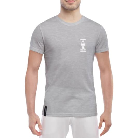 Футболка чоловіча Globuspioner класична Maserati Classiche Mini сіра принт спереду