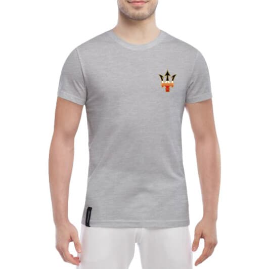 Футболка мужская Globuspioner классическая Maserati Mini Logo Tricolor серый спереди