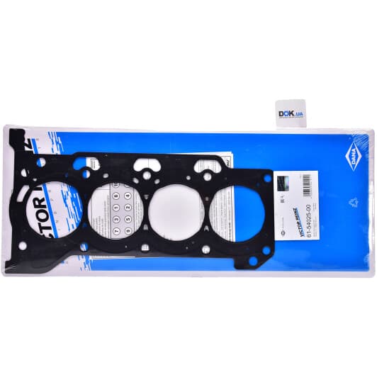 61-54025-00 Reinz Прокладка ГБЦ