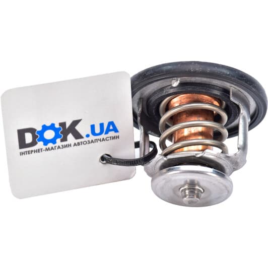 212004M53A Nissan / Infiniti Термостат