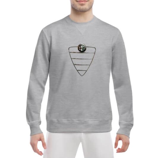 Свитшот мужской Globuspioner Alfa Romeo Lattice спереди класический рукав серый