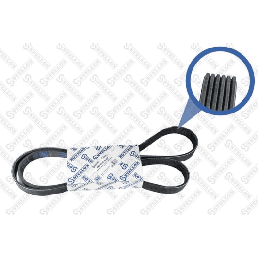 0601570SX Stellox Поліклиновий ремінь