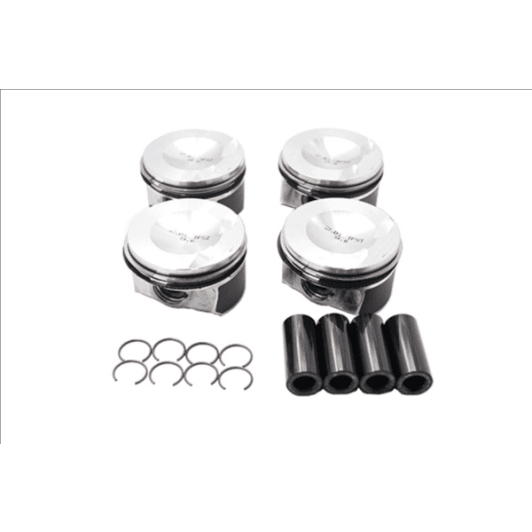 b18741 Borsehung Комплект поршневих кілець