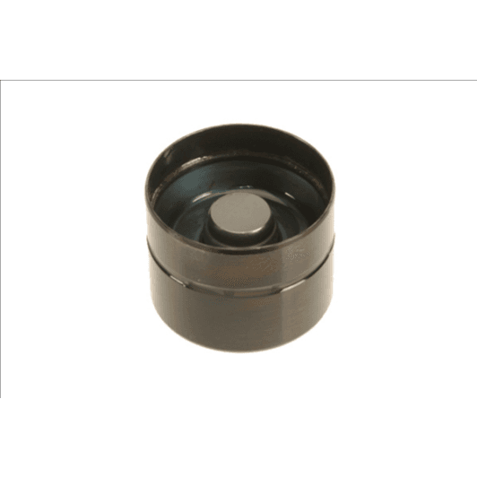 b18838 Borsehung Штовхач клапана