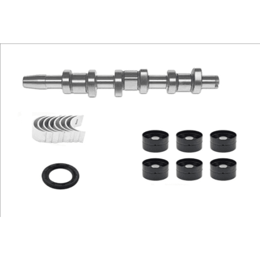 b18665 Borsehung Комплект распредвала