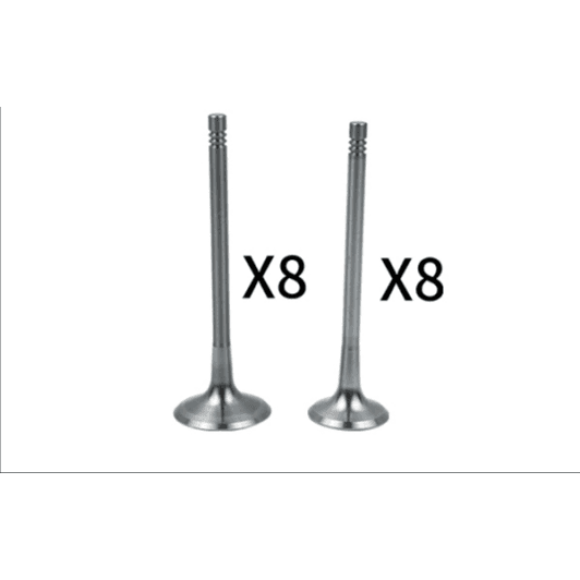 b18634 Borsehung Впускний клапан