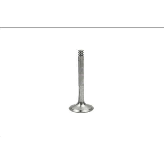 b18997 Borsehung Випускний клапан