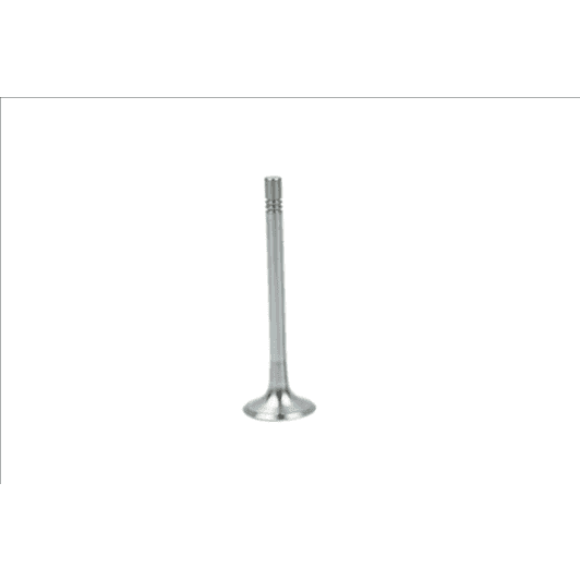 b19004 Borsehung Випускний клапан