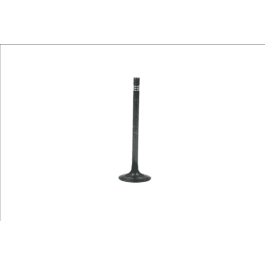 b19006 Borsehung Выпускной клапан