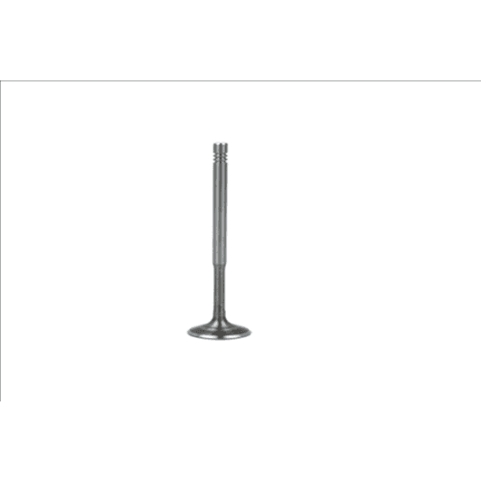 b19010 Borsehung Выпускной клапан