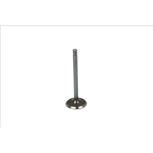 b19016 Borsehung Впускний клапан