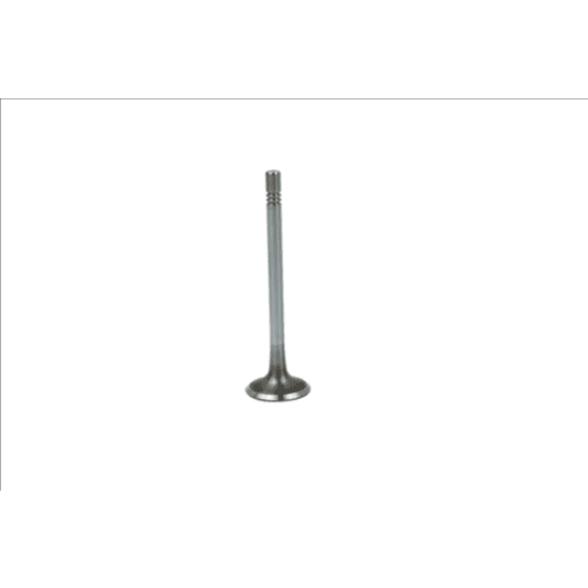 b19020 Borsehung Впускной клапан