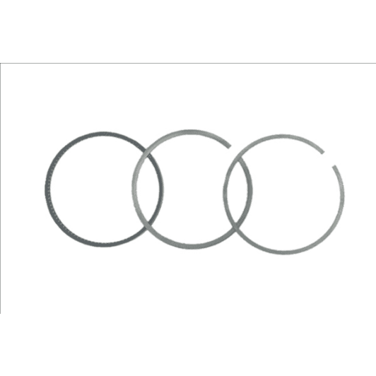 b19049 Borsehung Комплект поршневих кілець