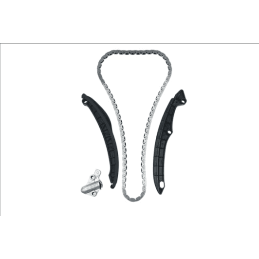 b17991 Borsehung Комплект цепи ГРМ