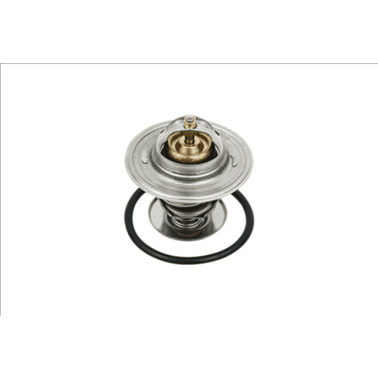 b18231 Borsehung Термостат