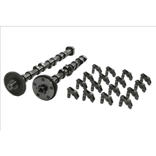 b19173 Borsehung Комплект распредвала