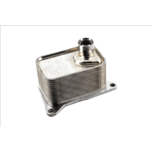 b10877 Borsehung Оливний радіатор двигуна