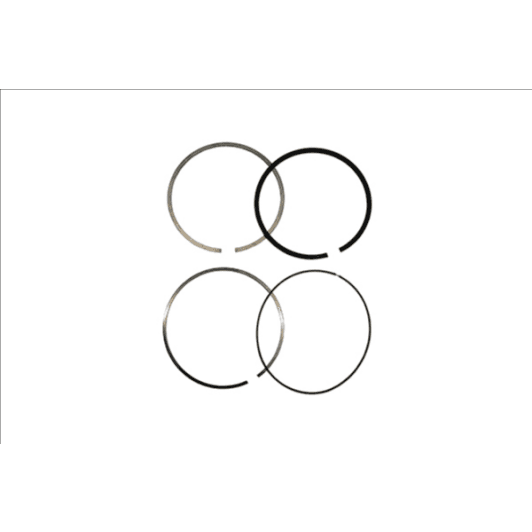 b10361 Borsehung Комплект поршневих кілець