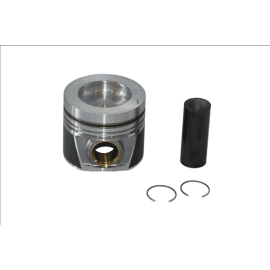 b19299 Borsehung Комплект поршневых колец