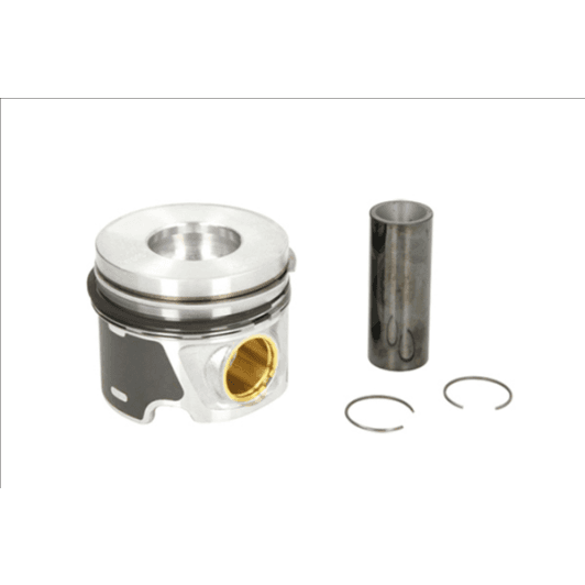 b19300 Borsehung Комплект поршневых колец