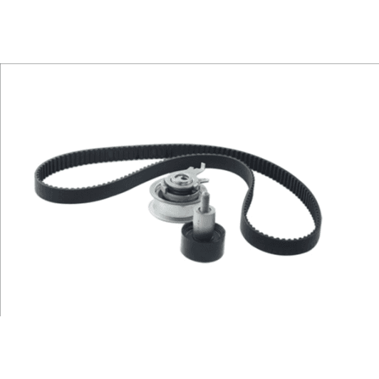 b10210 Borsehung Комплект ременя ГРМ